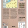 Across Suez: The Battle of the Chinese Farm, October 1973 (Inglés)