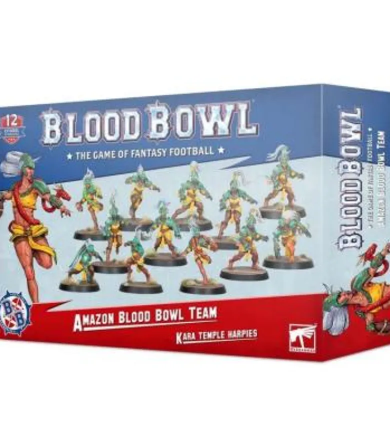 Blood Bowl: Amazon Team (Kara Temple Harpies)