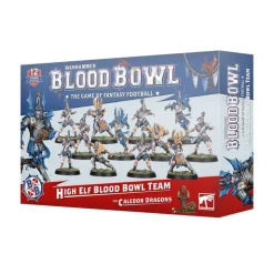 Blood Bowl: High Elf Blood Bowl Team