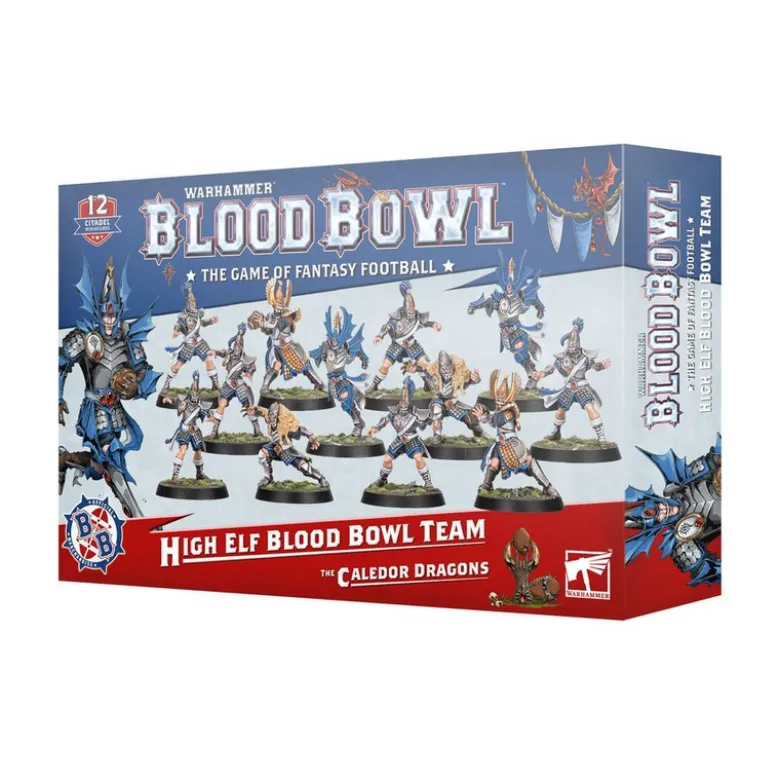 Blood Bowl: High Elf Blood Bowl Team