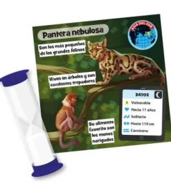BrainBox: Animales