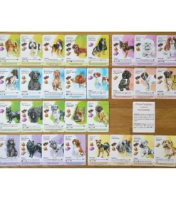 Dog Park: Perros Europeos