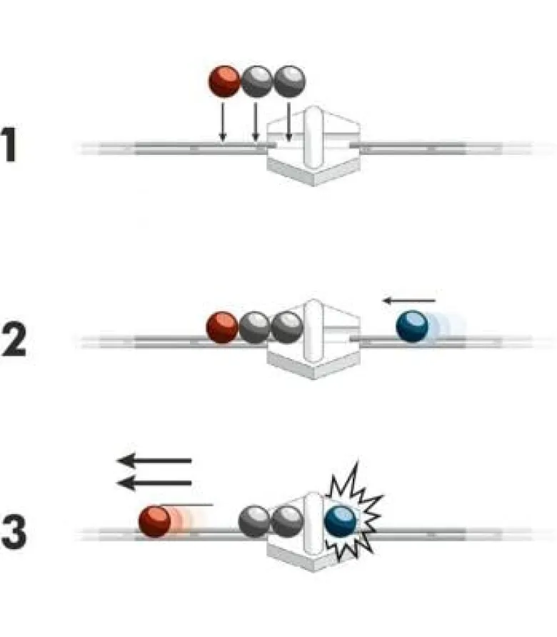 GraviTrax: Magnetic Cannon