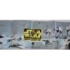 Hoth Poster