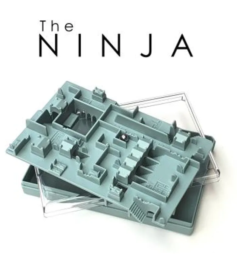 Inside 3: The Ninja