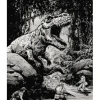 La Llamada de Cthulhu: Hidden Corp (Volumen 2)