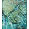 Mago el Despertar (2ª Edicion)