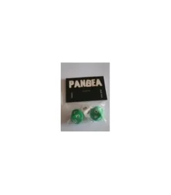 Pangea: Dados