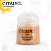 Pintura Citadel: Dry Golgfag Brown