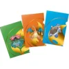 Pokemon TCG: Tournament Folio (Kanto Starters Evolution)