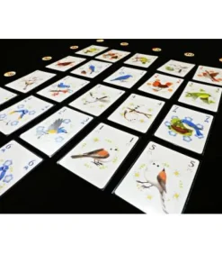 Songbirds