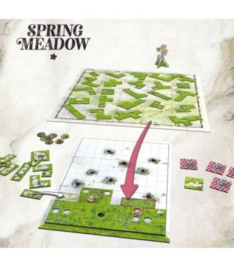 Spring Meadow
