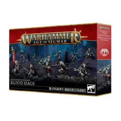 Warhammer Age of Sigmar: Daughters of Khaine (Blood Hags)