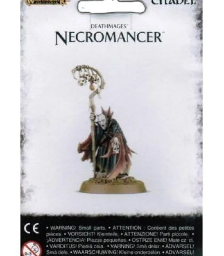 Warhammer Age of Sigmar: Deathmages (Necromancer)