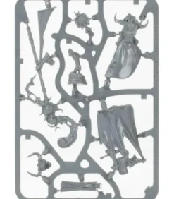 Warhammer Age of Sigmar: Hedonites of Slaanesh (Shardspeaker of Slaanesh)