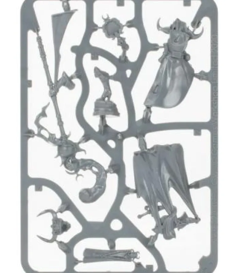 Warhammer Age of Sigmar: Hedonites of Slaanesh (Shardspeaker of Slaanesh)