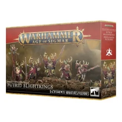 Warhammer Age of Sigmar: Maggotkin of Nurgle (Putrid Blightkings)