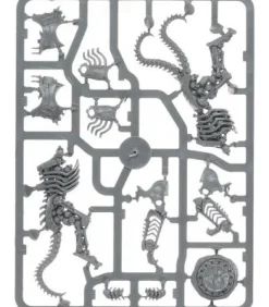 Warhammer Age of Sigmar: Ossiarch Bonereapers (Arch-Kavalos Zandtos)