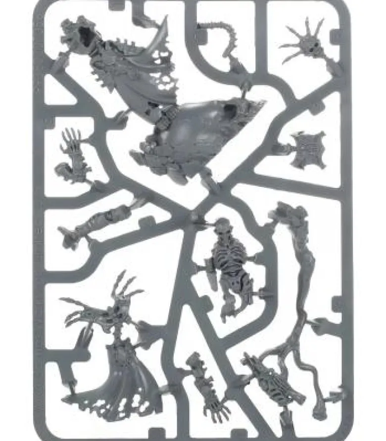 Warhammer Age of Sigmar: Ossiarch Bonereapers (Mortisan Boneshaper)