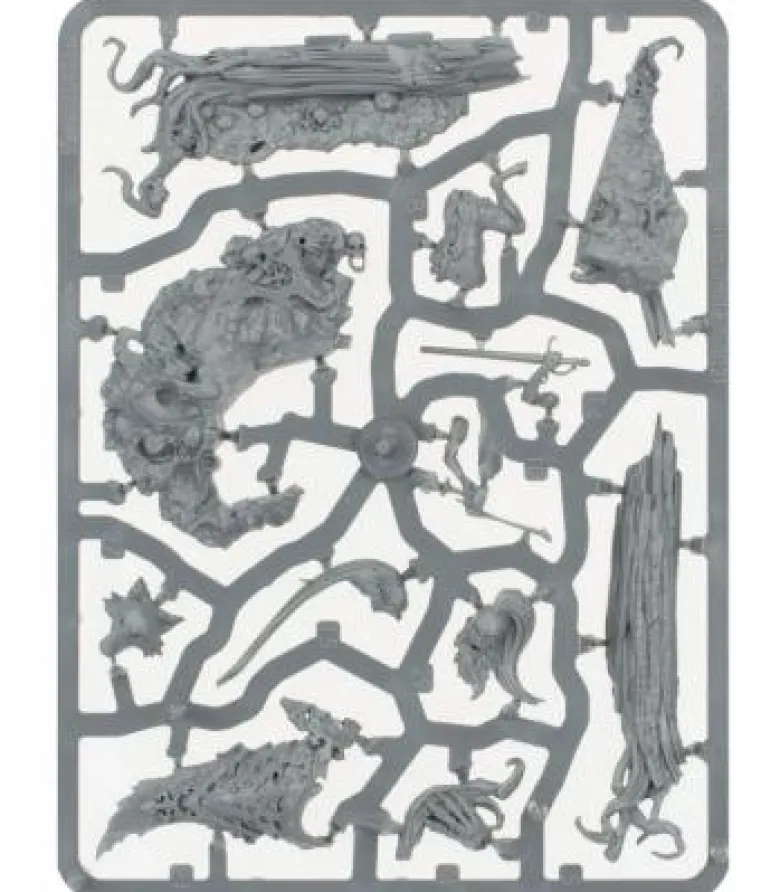 Warhammer Age of Sigmar: Soulblight Gravelords (Radukar, The Beast)