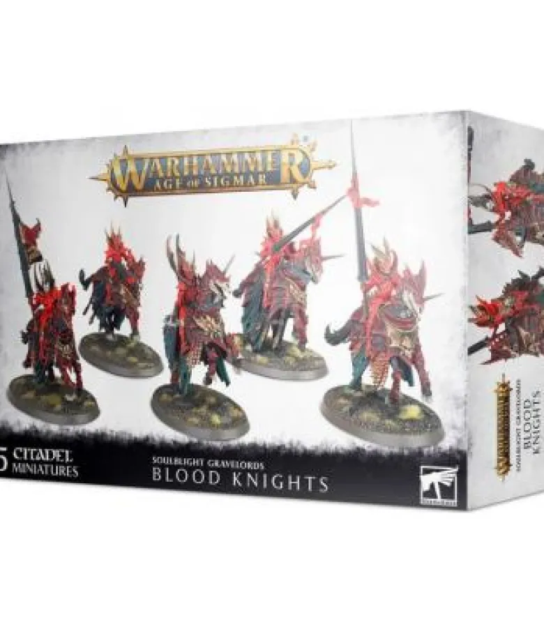 Warhammer Age of Sigmar: Soulblight Gravelords (Blood Knights)