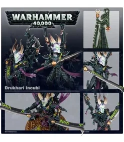 Warhammer 40,000: Drukhari (Incubi)