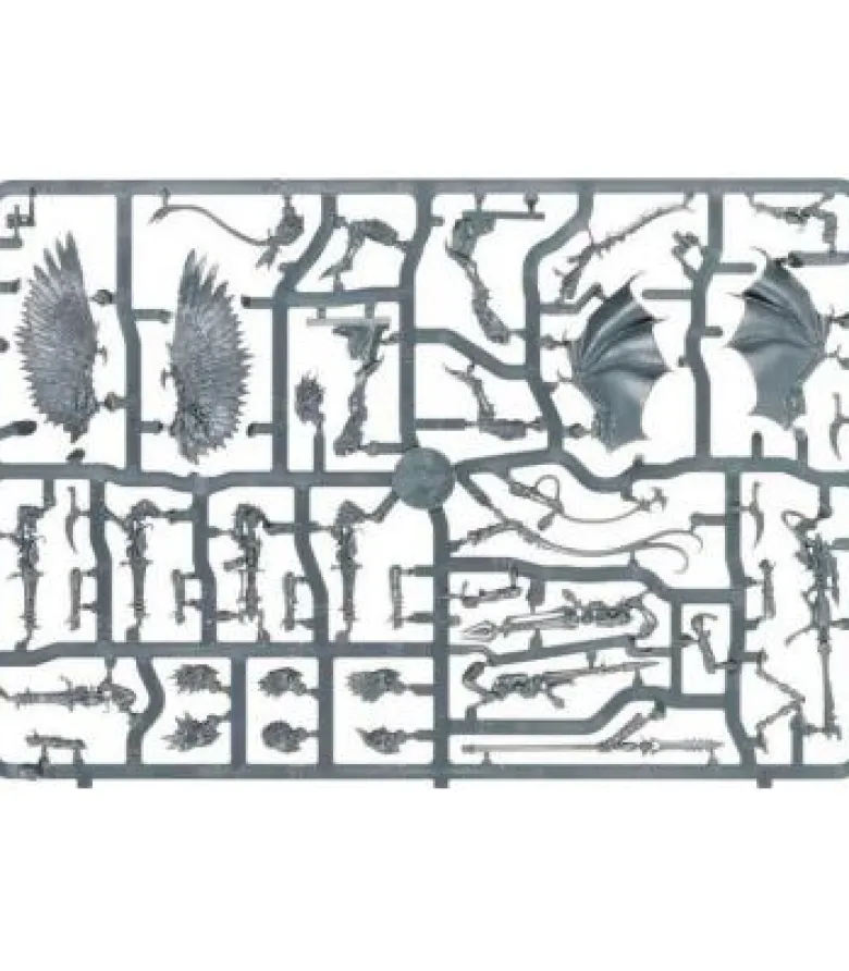 Warhammer 40,000: Drukhari (Scourges)