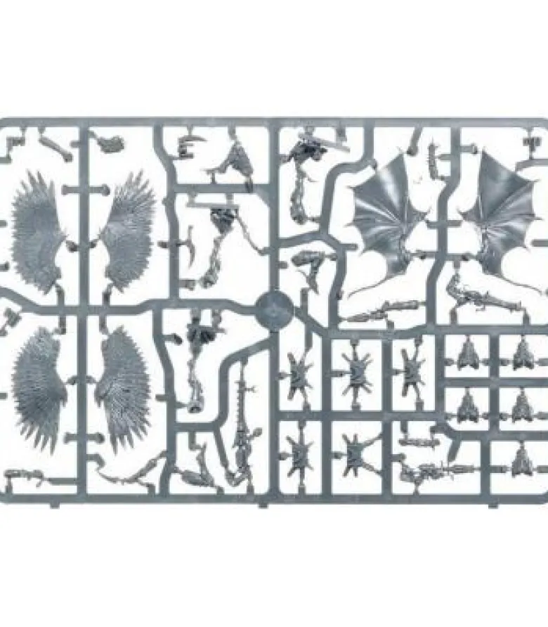 Warhammer 40,000: Drukhari (Scourges)