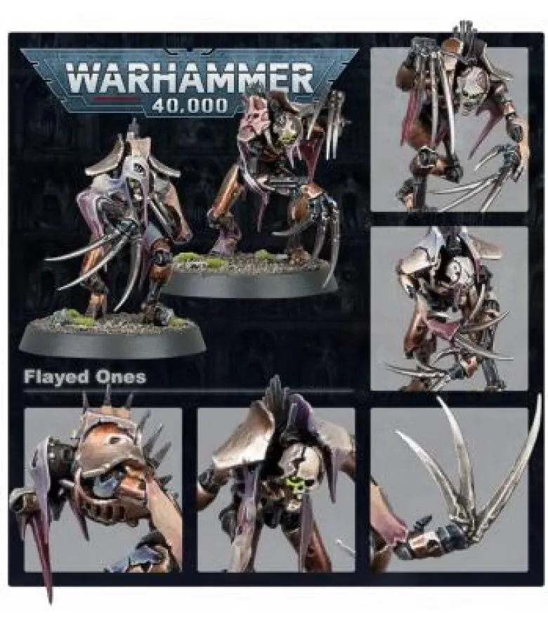 Warhammer 40,000: Necrons (Flayed Ones)