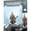 Warhammer 40.000: Space Wolves (Wolf Priest)