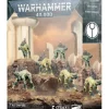 Warhammer 40,000: T'au Empire (Kroot Hounds)